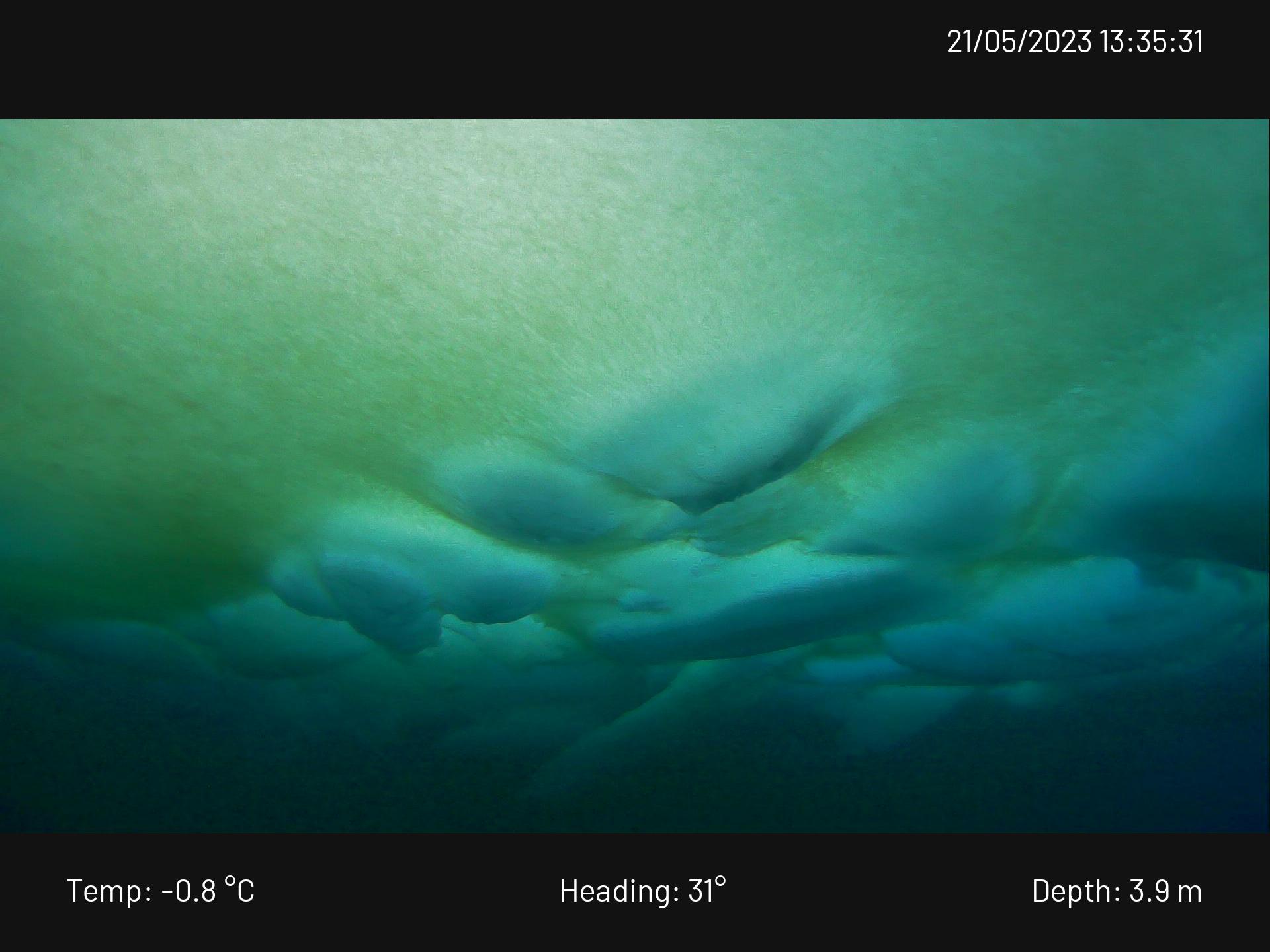 Czy zmiany klimatu sprawią, że Arktyka stanie się zielona?