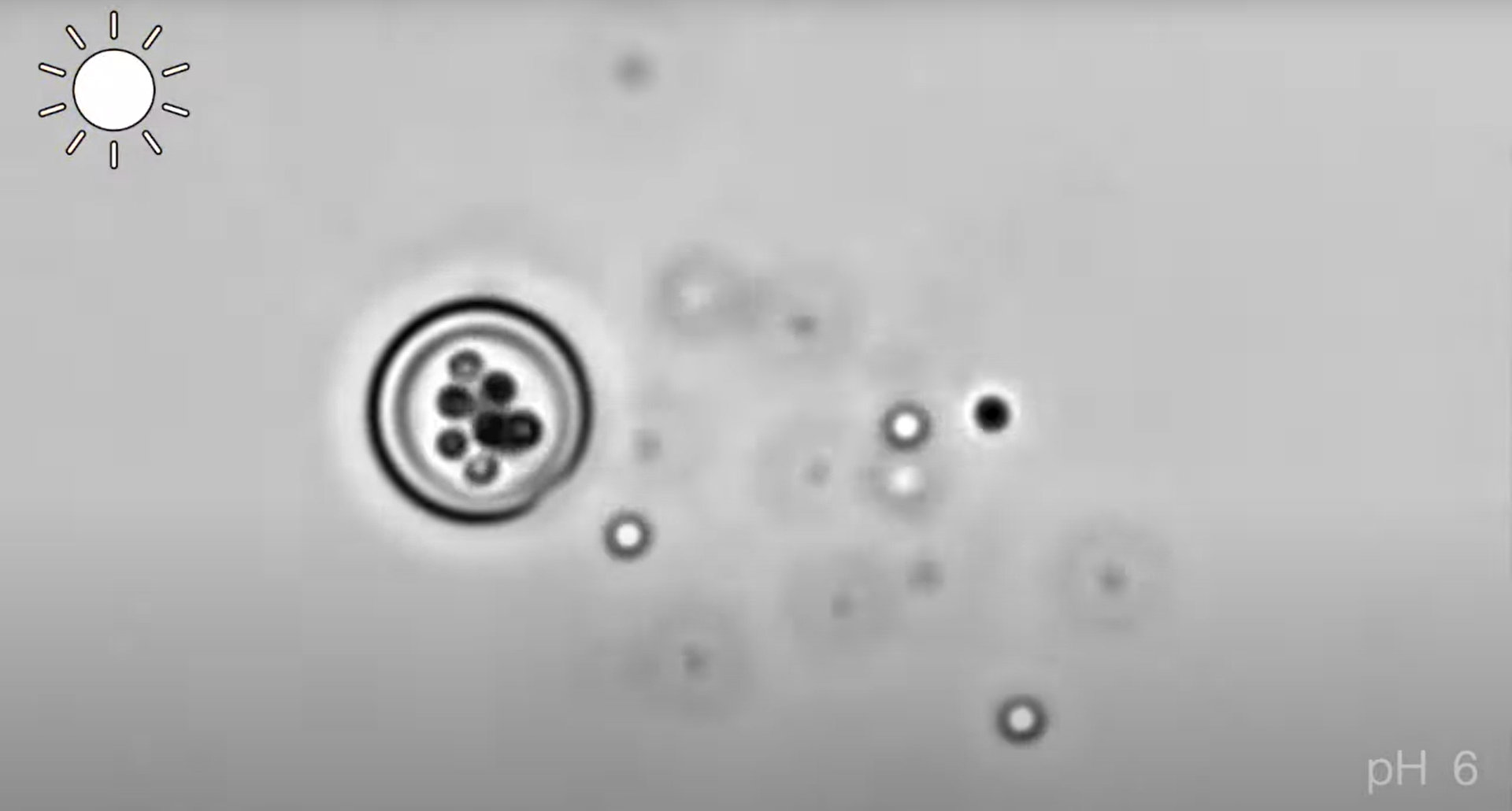 Naukowcy pracują nad stworzeniem sztucznych komórek