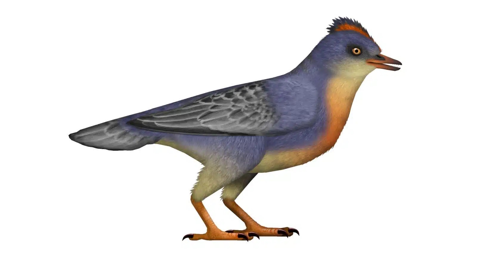 Naukowcy odkryli jednego z najstarszych ptaków na Ziemi