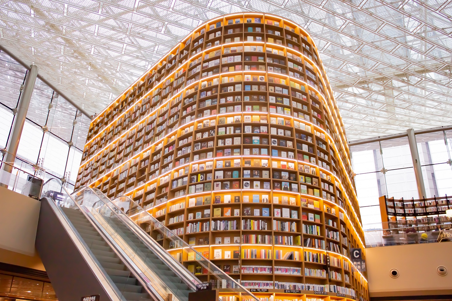 Cyfrowe korpusy polszczyzny