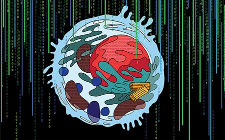 AI buduje model ludzkiej komórki