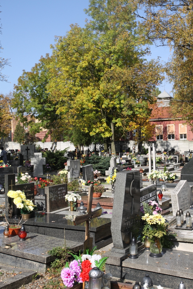 Okiem eksperta: Dzień Wszystkich Świętych