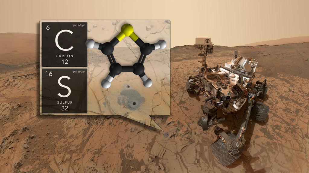 curiosity organosulfide graphic print