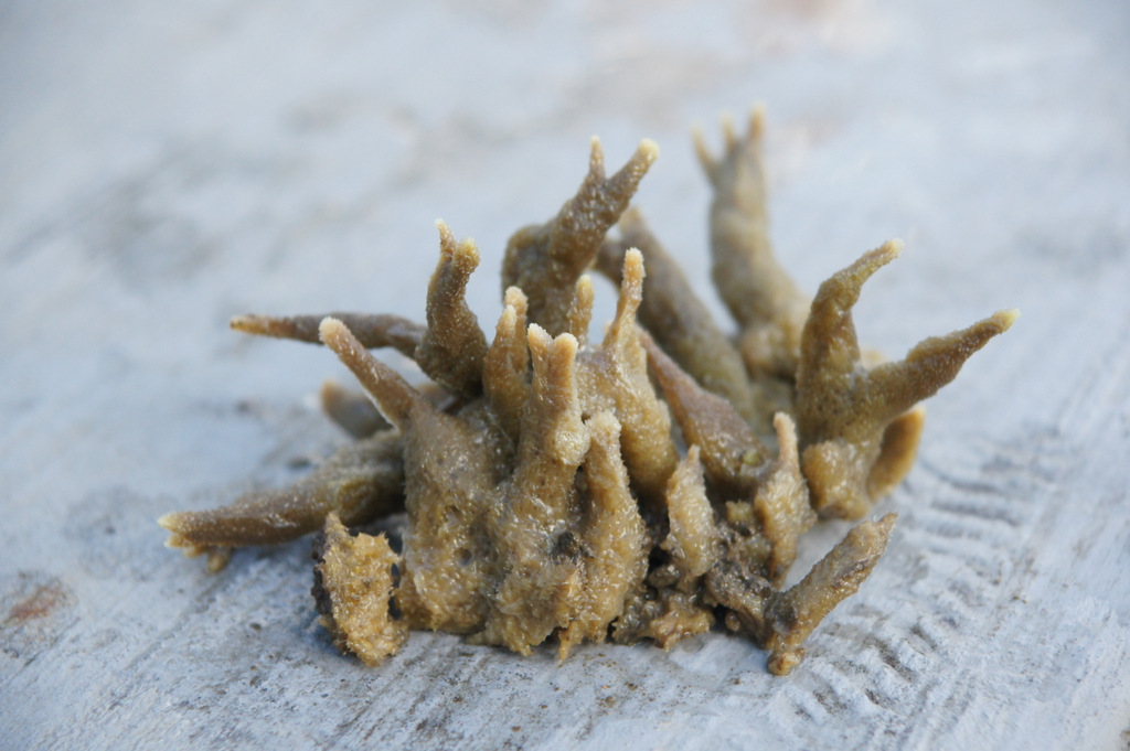 Niezwykłe odkrycie w Zbiorniku Goczałkowickim