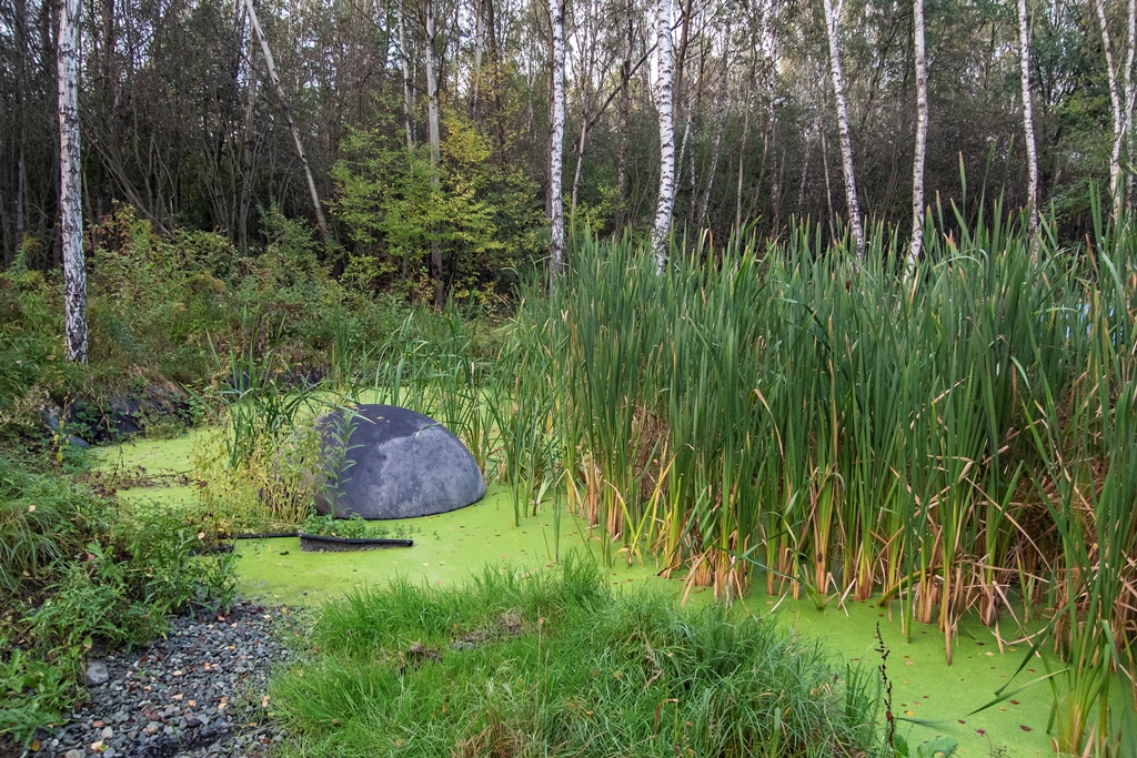 fot. matylda klos us 5