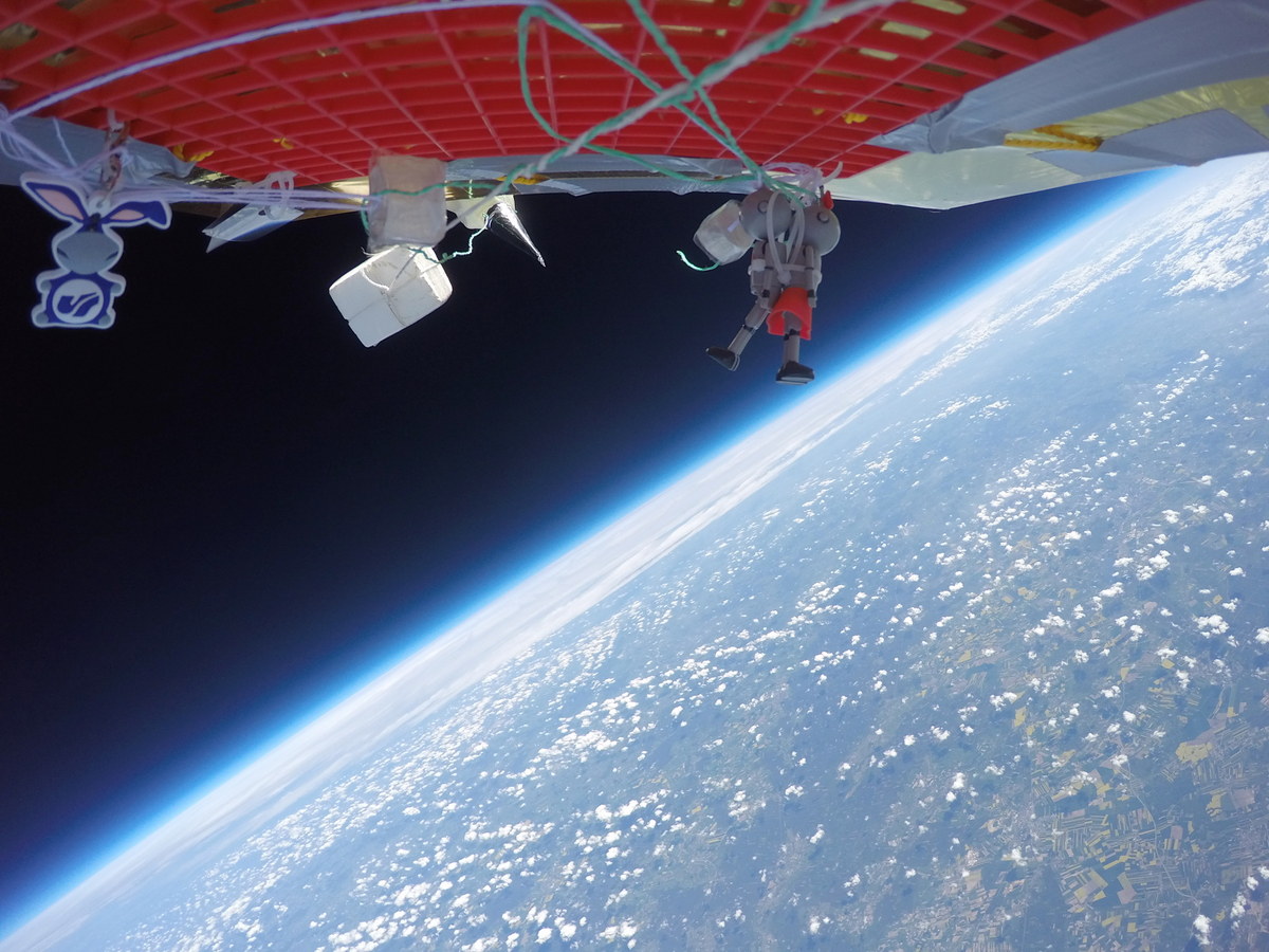 Pająki poleciały w kosmos