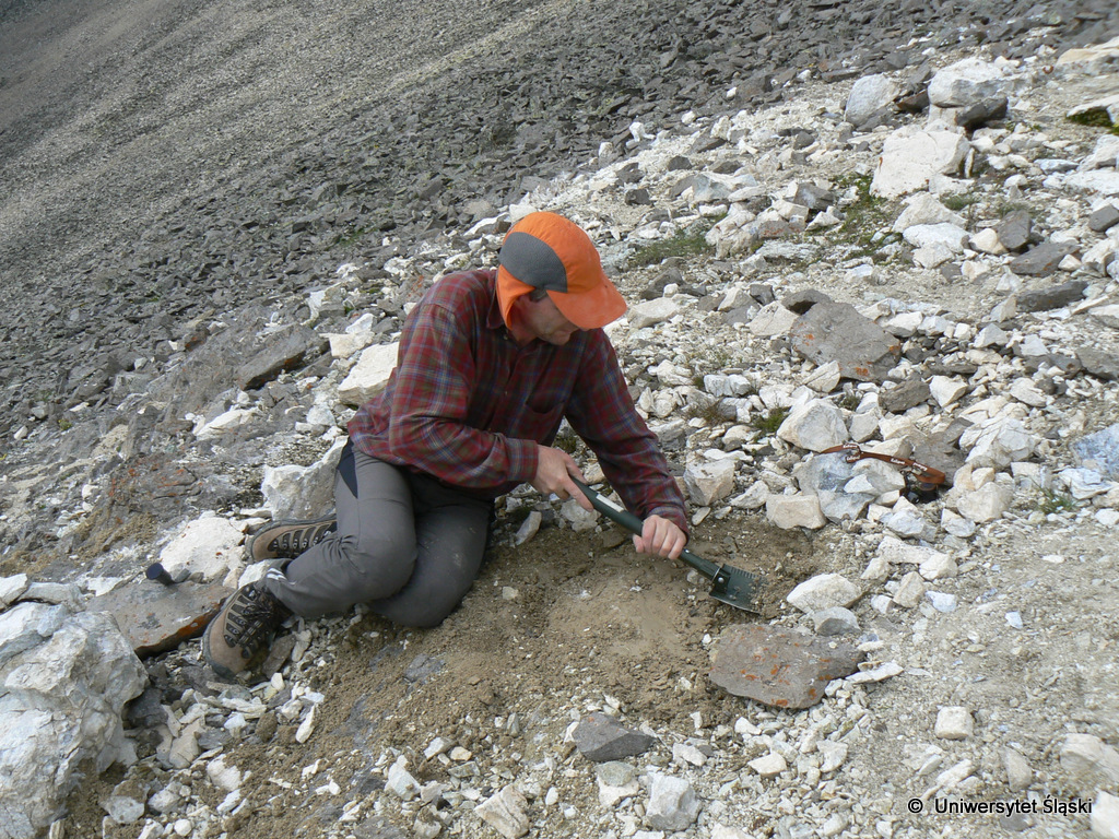 Mineralogiczne żniwa