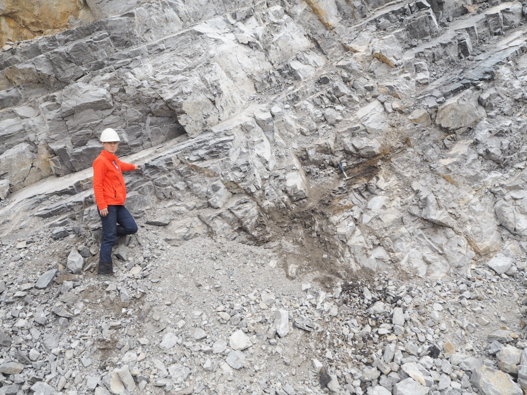 Co się wydarzyło ponad 300 mln lat temu?