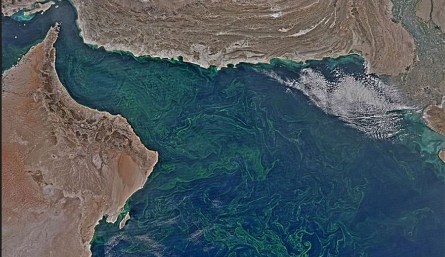 Odkryto wielką strefę martwych wód