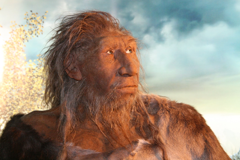 Przodkowie człowieka niemalże wyginęli 900 tys. lat temu