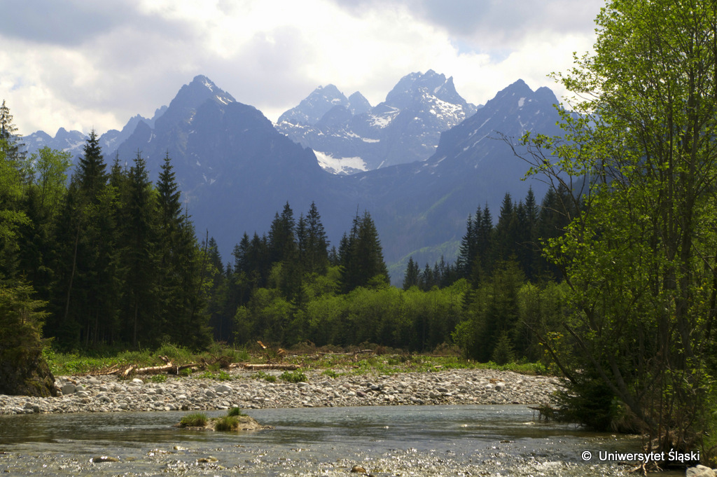 Tatrzański „poligon badawczy”