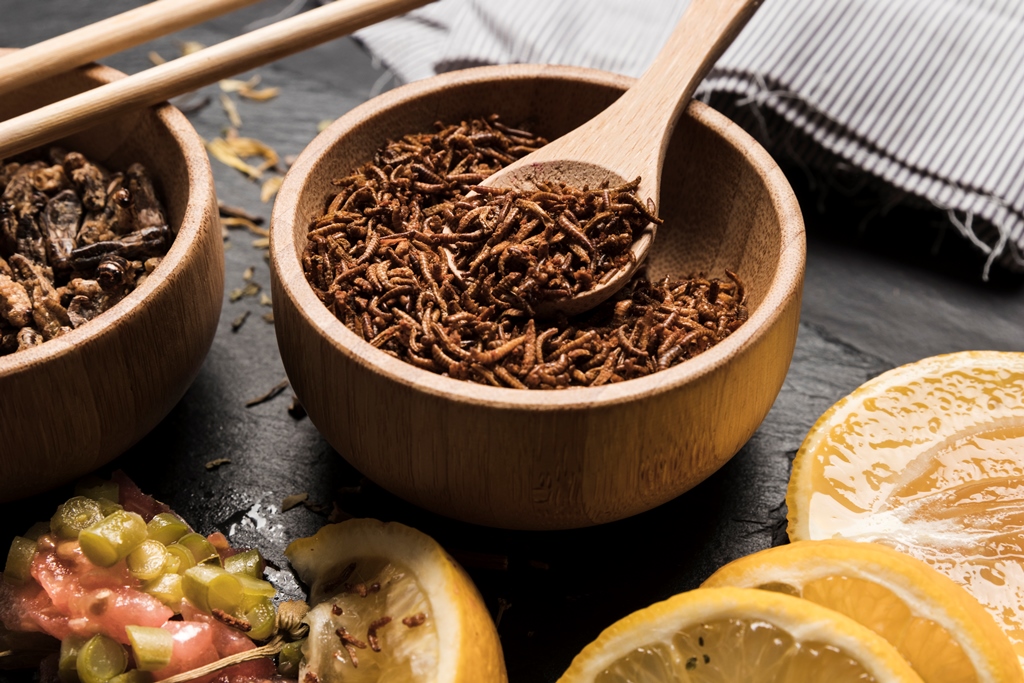 Owady jako odpowiedź na kryzys żywnościowy