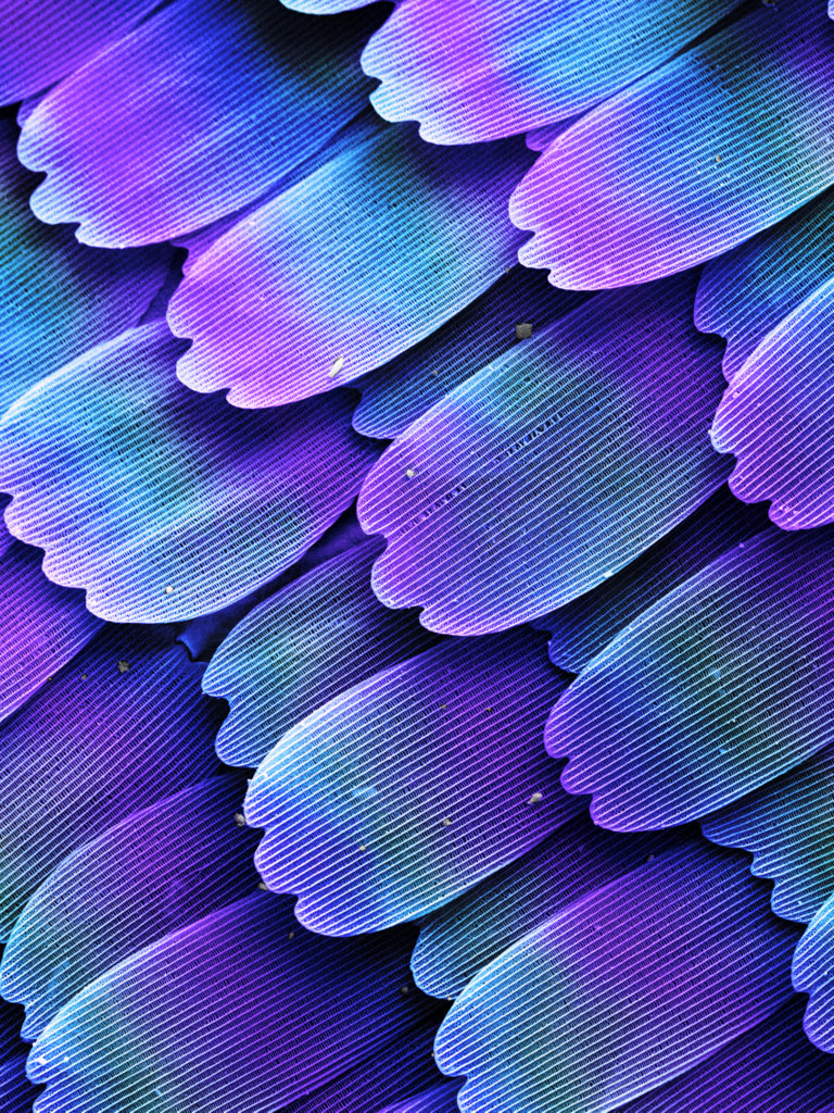 Fascynujący mikroświat