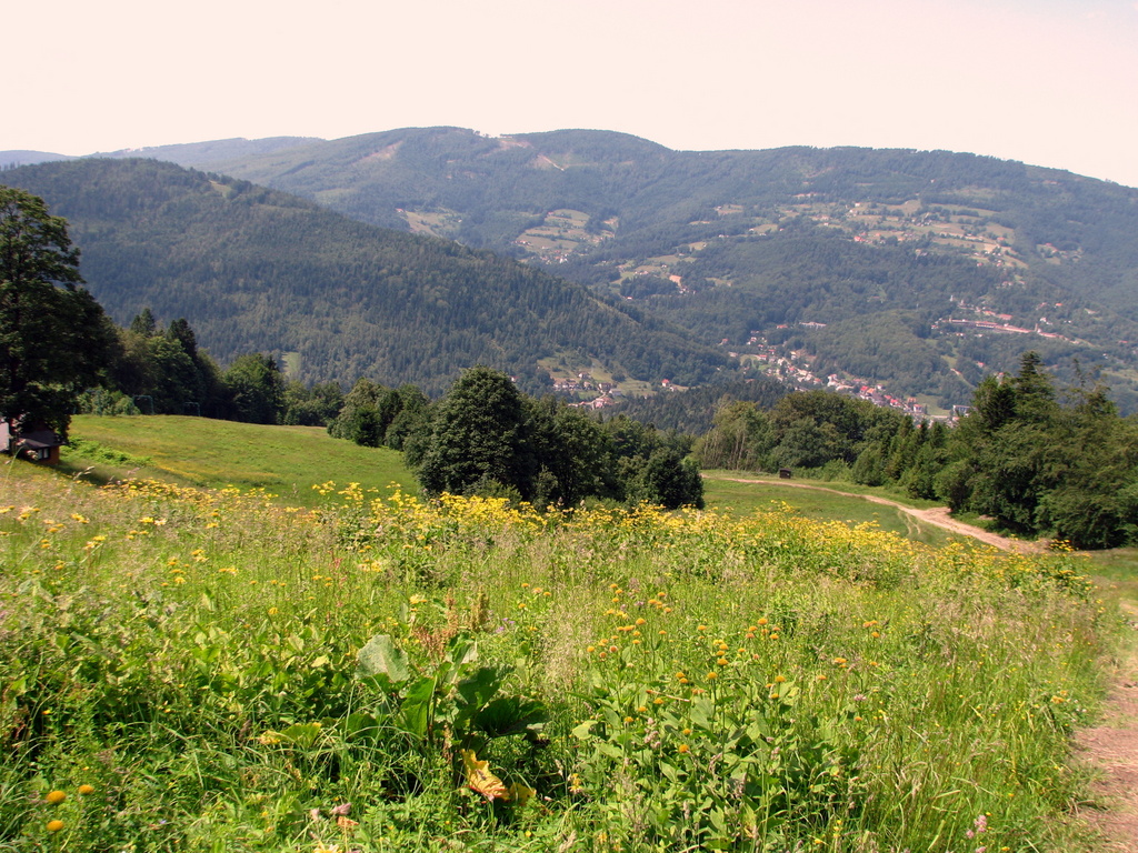 Krajobraz Beskidu Śląskiego