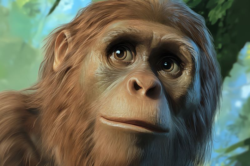 50. rocznica odkrycia praprzodkini człowieka