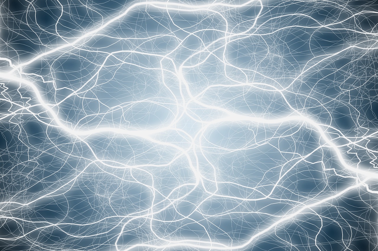 Nowe mapy mózgu pomogą przewidywać nasze zachowania