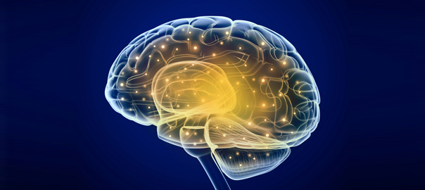 Skomplikowany mózg nastolatków