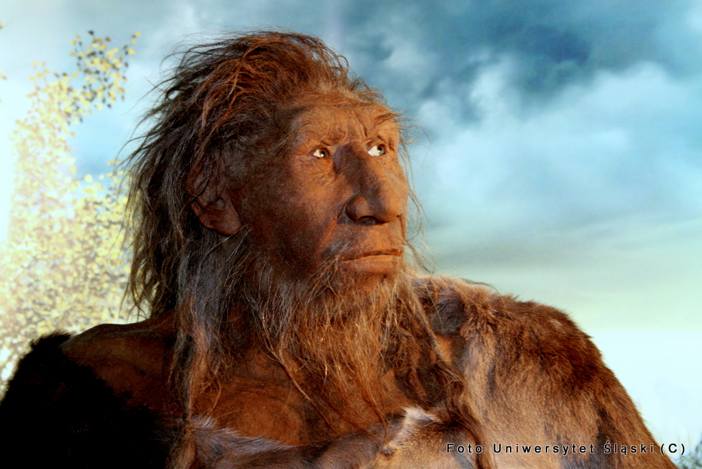 Ile jest neandertalczyka w człowieku?