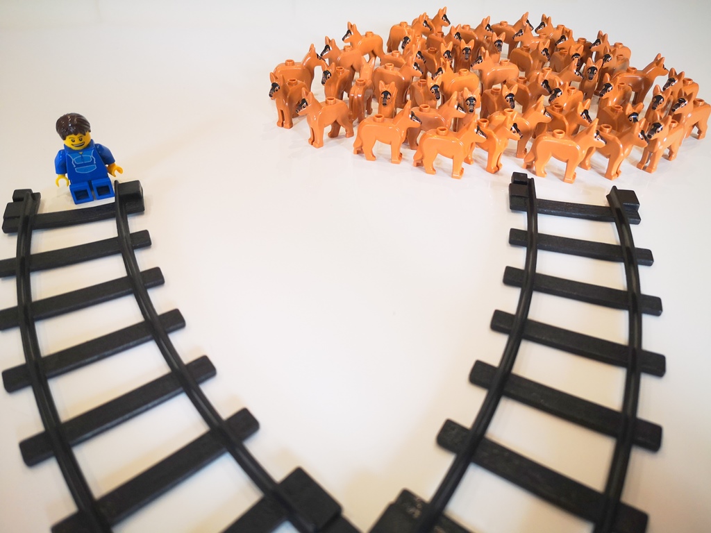 Kogo uratujesz: psa, człowieka czy szympansa?