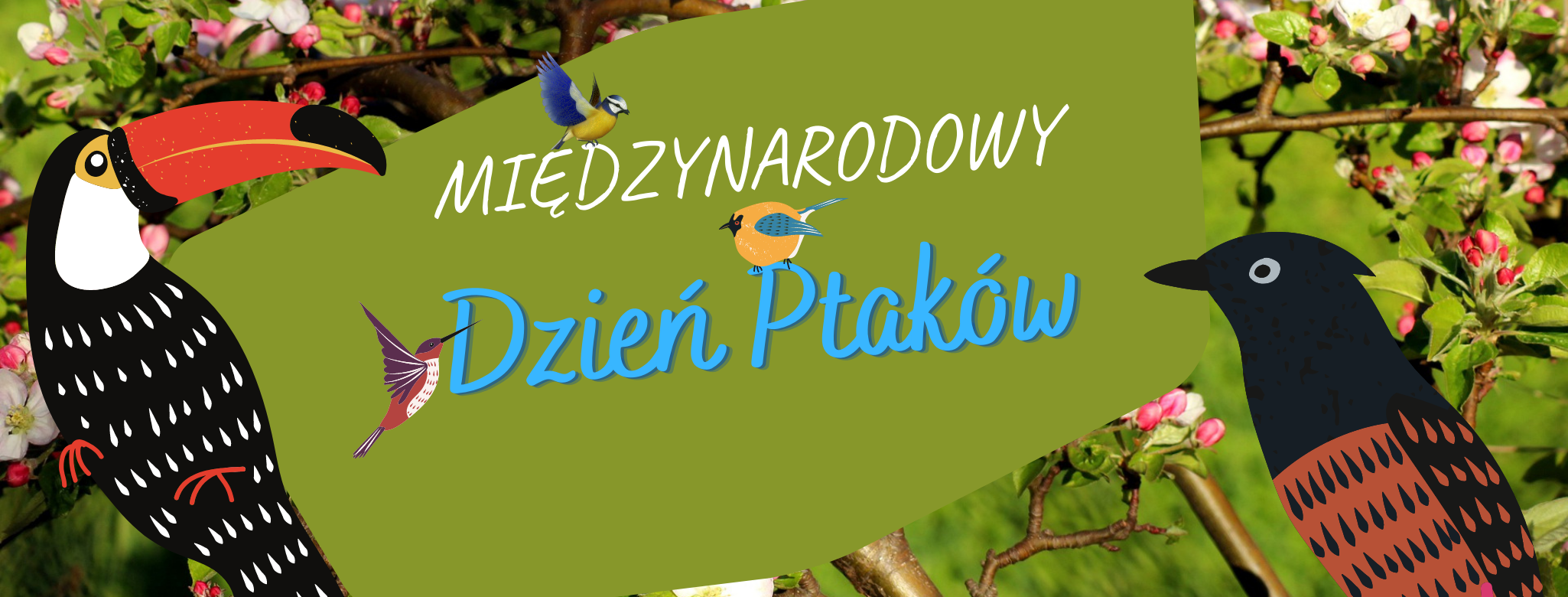 Międzynarodowy Dzień Ptaków