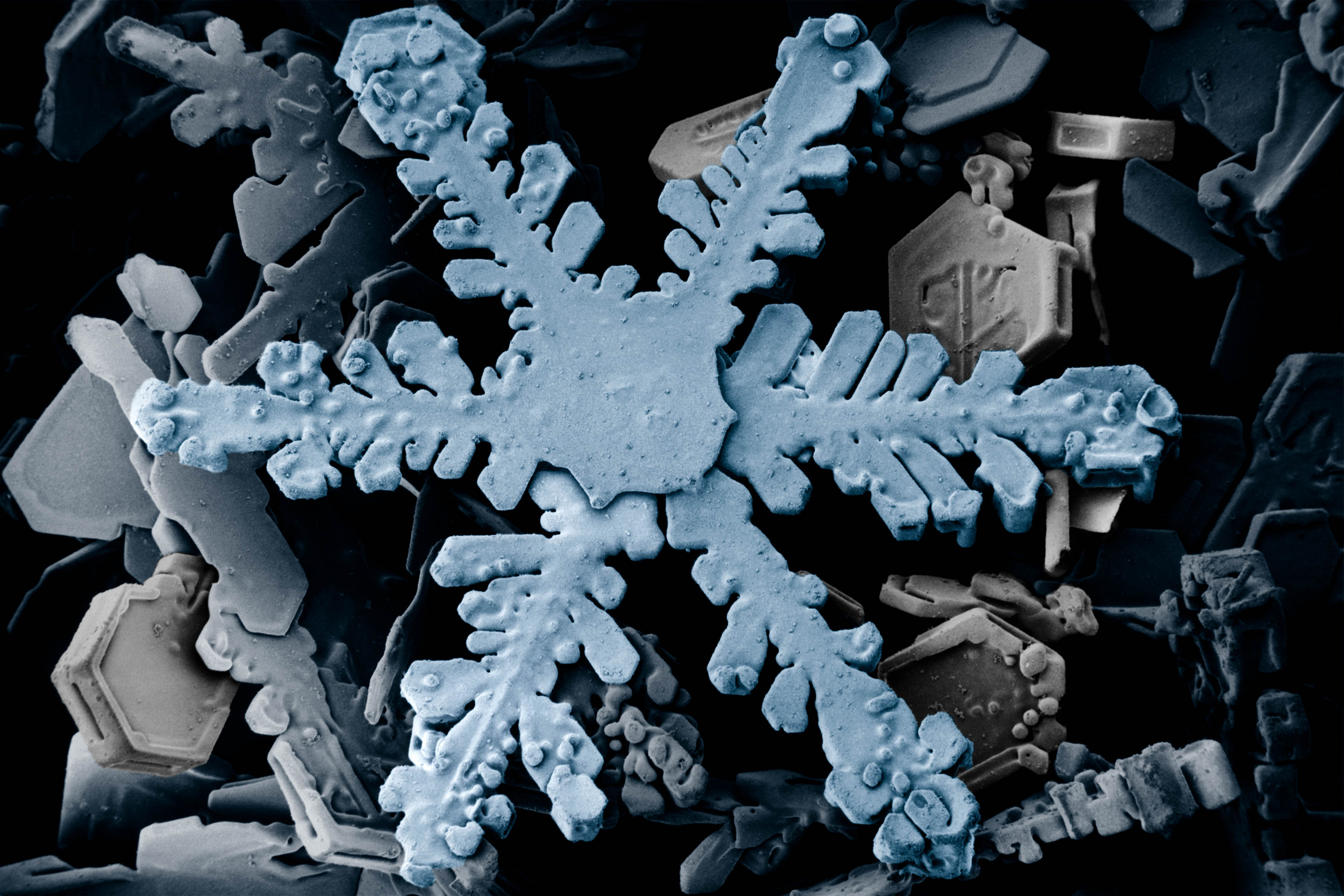 Urokliwa geometria gwiazdek śniegu