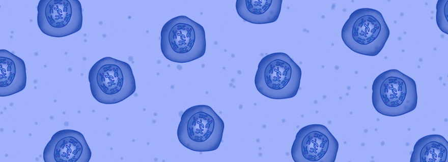 Nowa struktura DNA w telomerach – krok do dłuższego życia