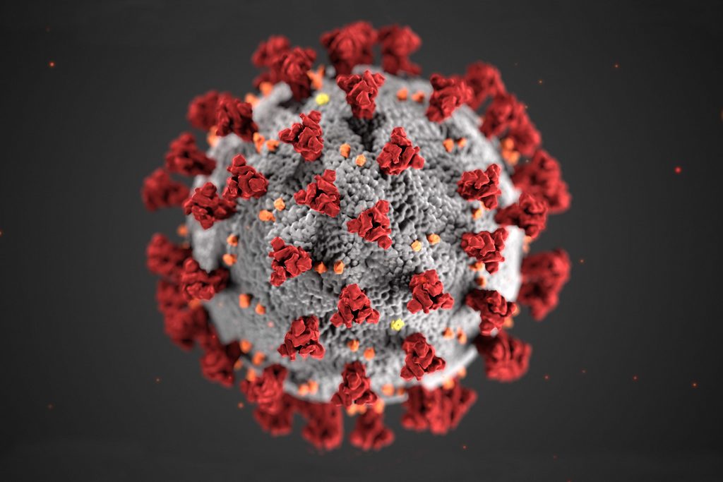 Człowiek kontra wirusy