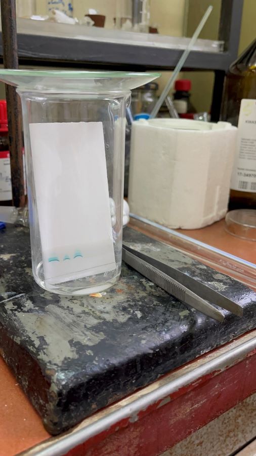 wynik eksperymentu syntezy zieleni metylenowej fot. dr ewa szwarczynska 