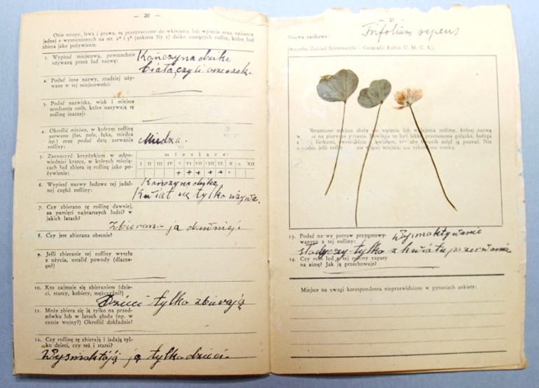 img 9608 fot malgorzata kloskowicz