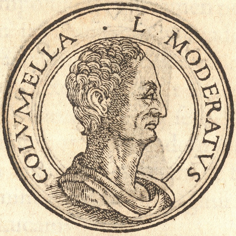 lucius junius moderatus columella